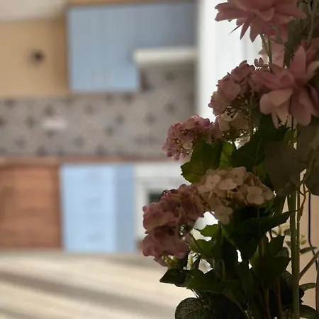 Апартаменты Marina Малинска