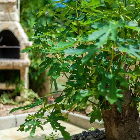 Marina Апартаменты *